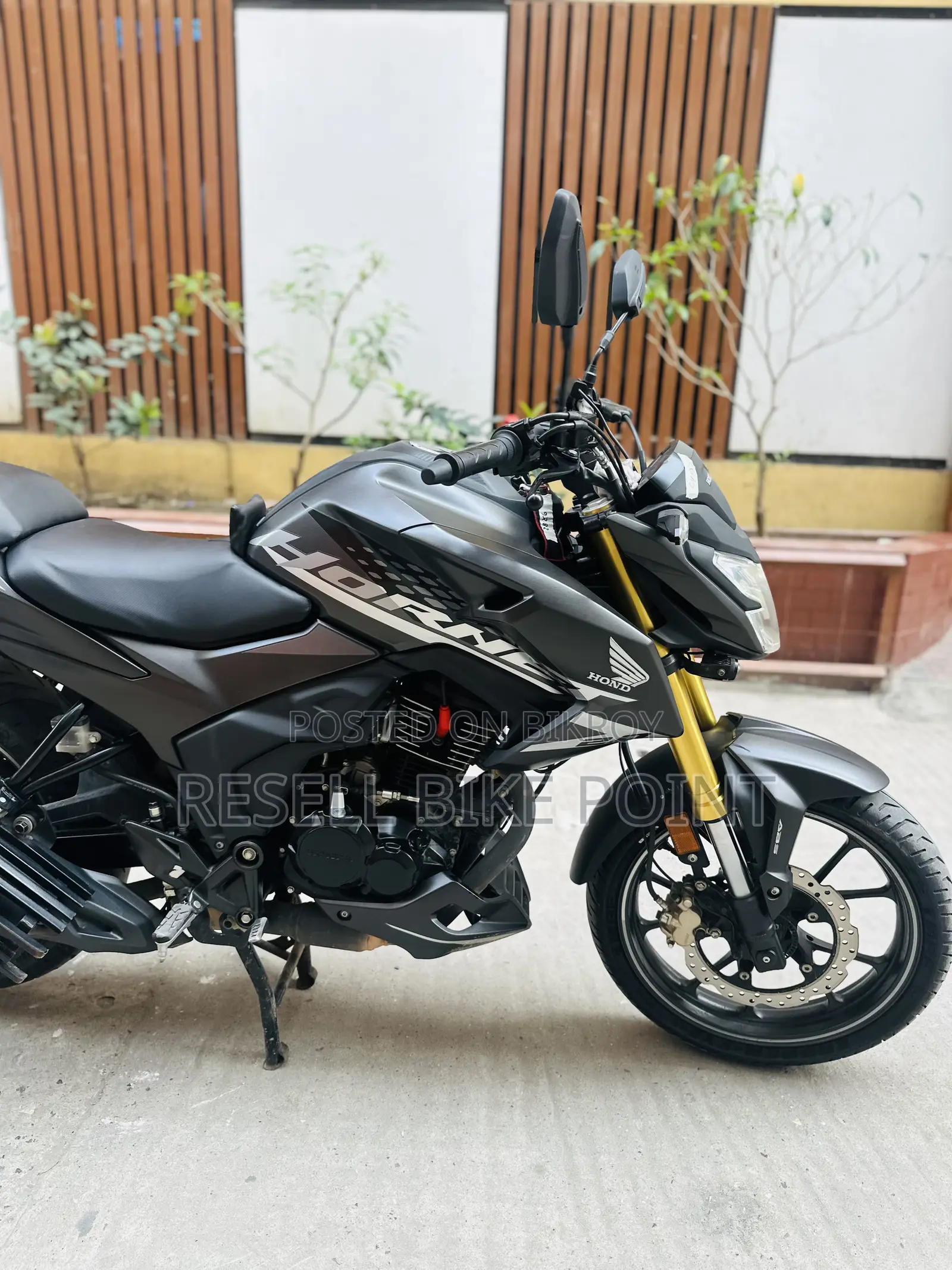 Honda Hornet 2025 Gray