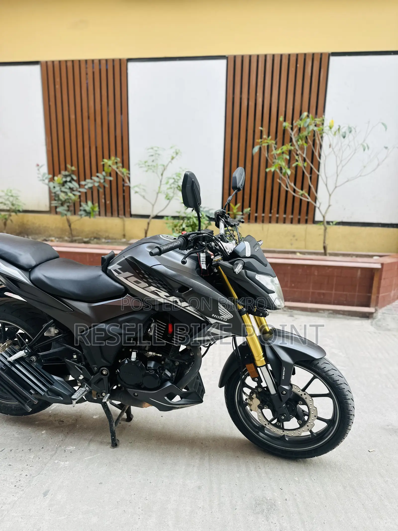 Honda Hornet 2025 Gray