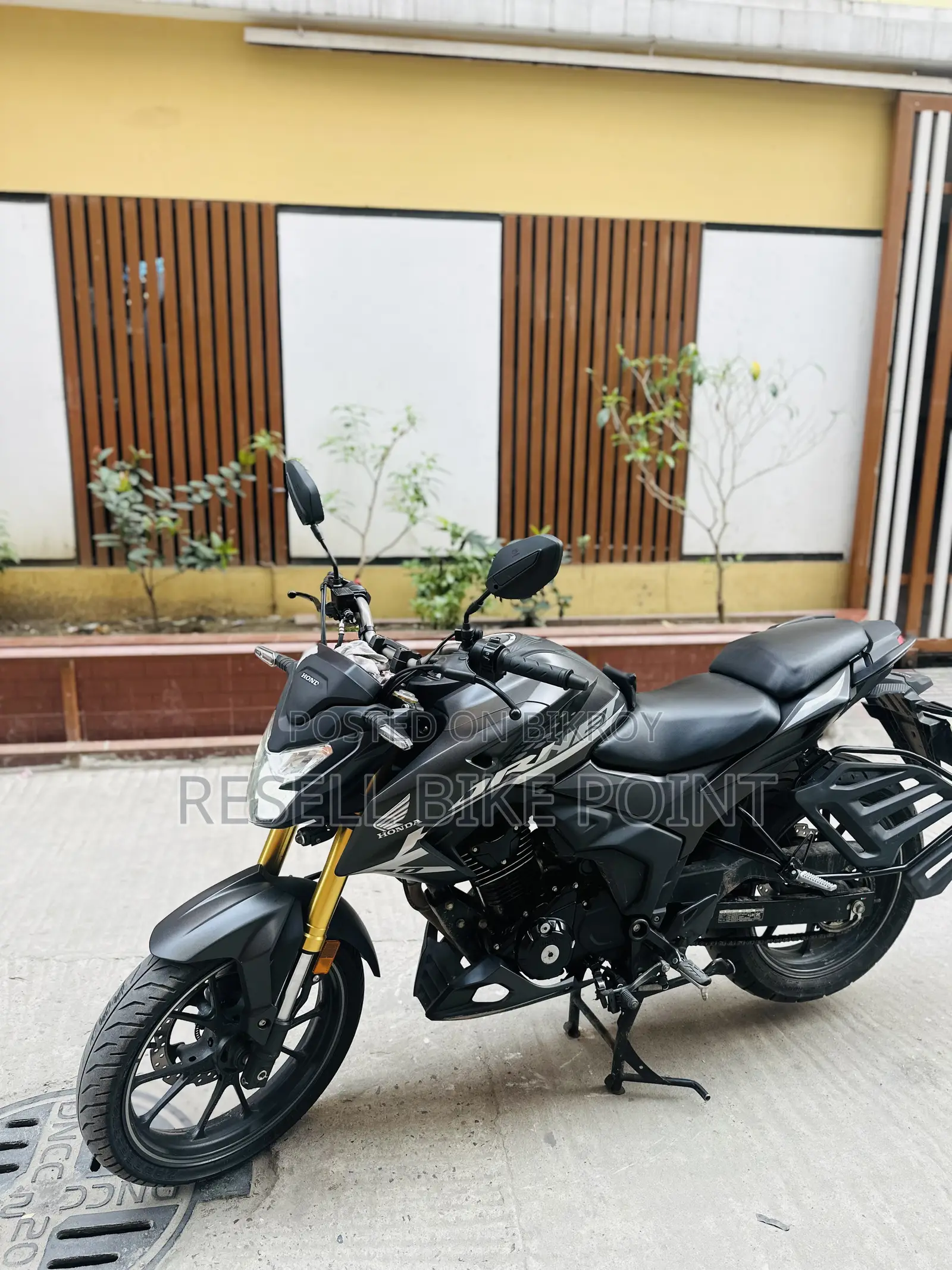 Honda Hornet 2025 Gray