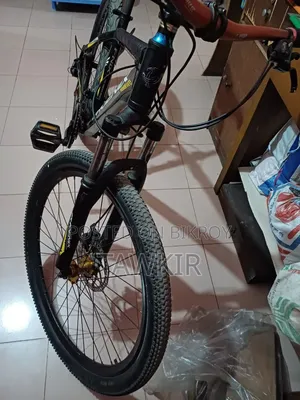 Aluminum Phoenix Bicycle