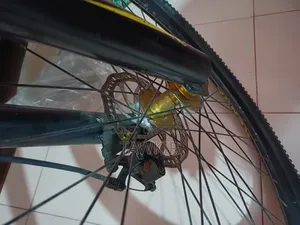 এলুমিনিয়াম ফনিক্স সাইকেল