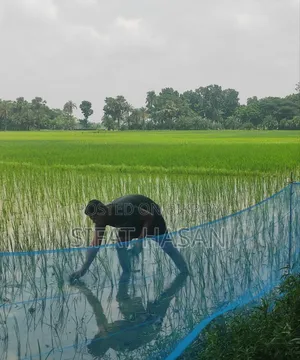 Agricultural land, land area 44 decimals