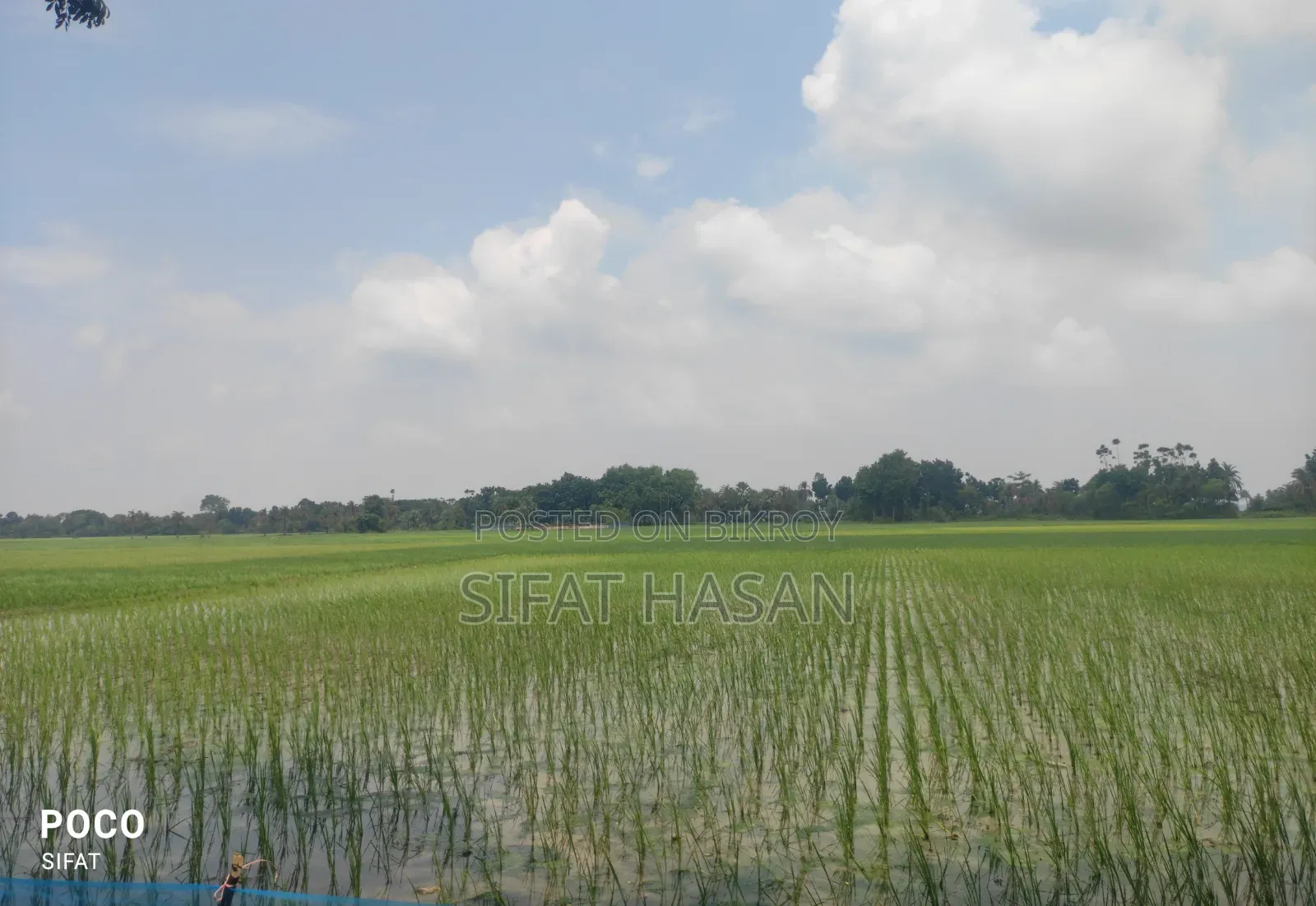 Agricultural land, land area 44 decimals