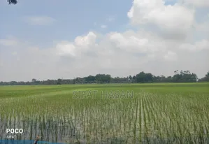 Agricultural land, land area 44 decimals