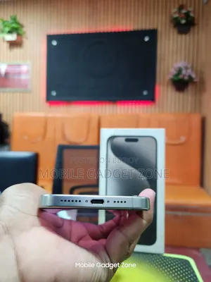 Apple iPhone 15 Pro Max 256 GB Silver