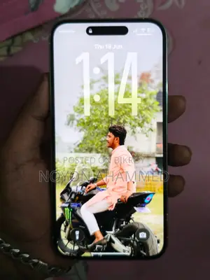 Apple iPhone 14 Pro Max 256 GB Silver