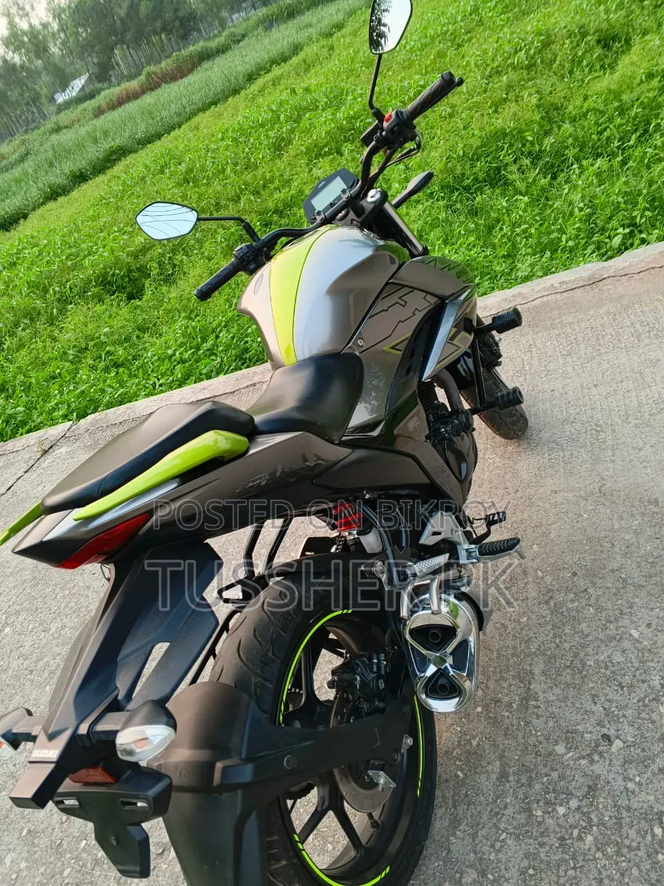 New Suzuki Bike 2025 Gold