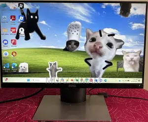 Dell Monitor