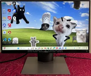 Dell Monitor