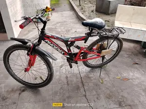 ফনিক্স রেন্জার