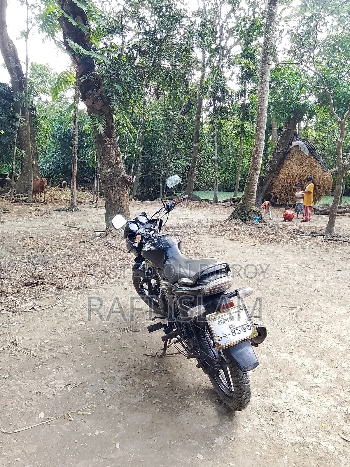 Bajaj Discover 100 2018 Gray