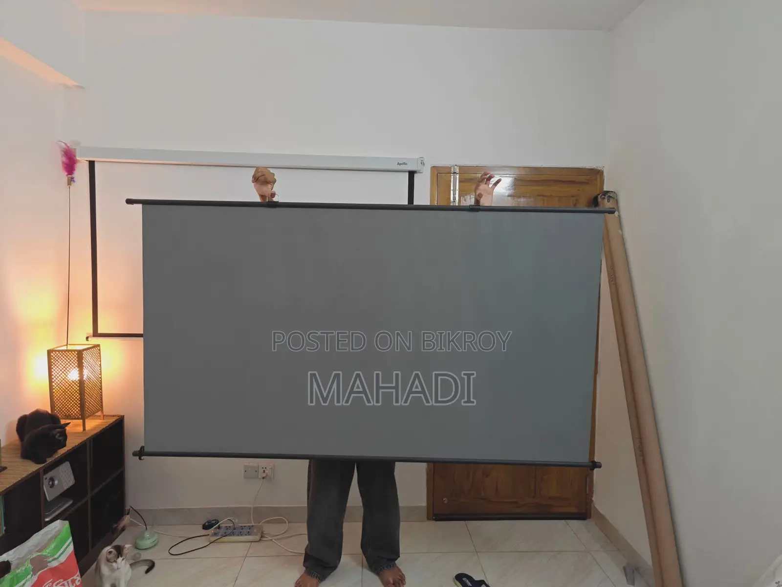 ALR Screen