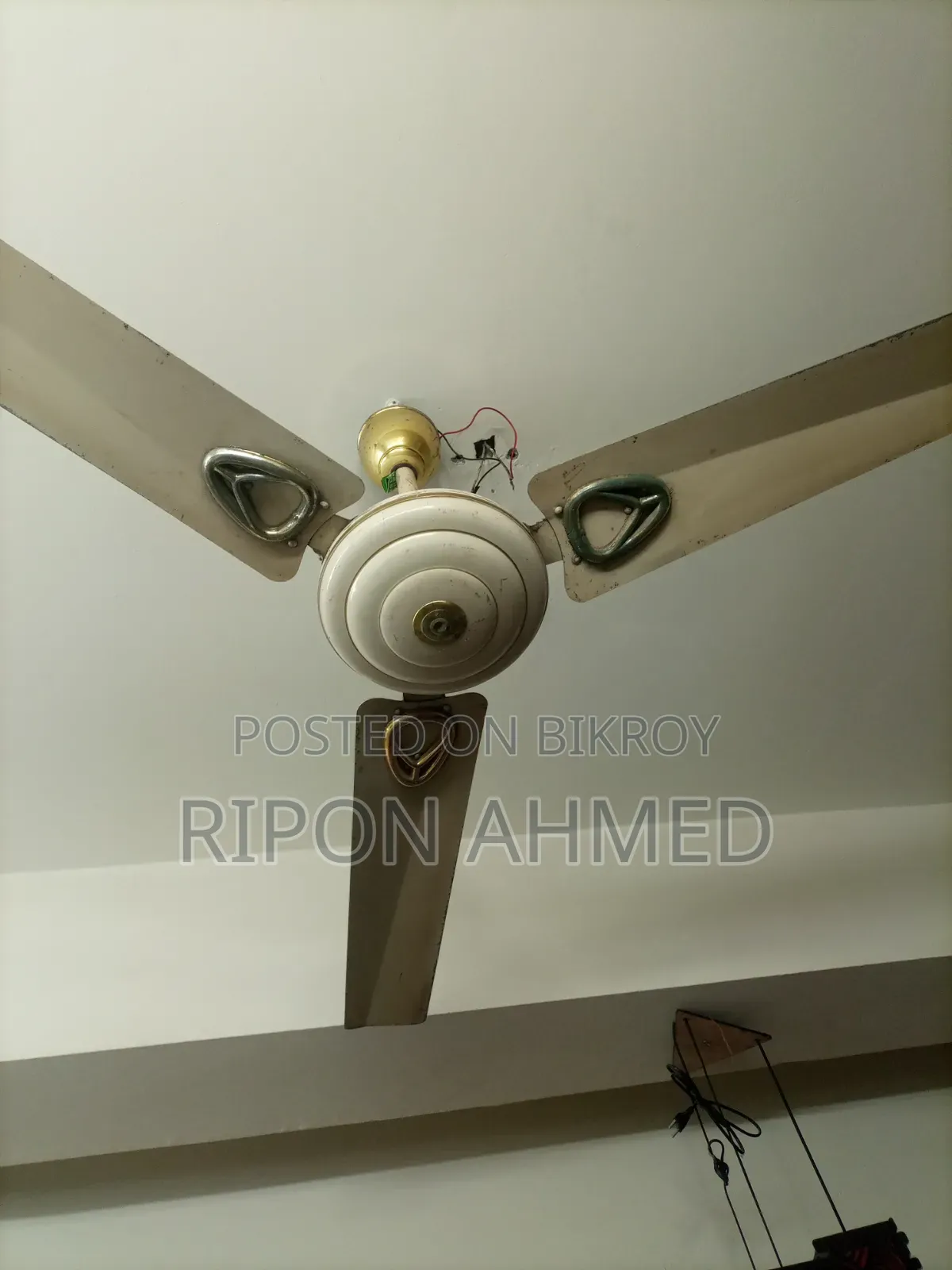 Good and Sturdy Fan
