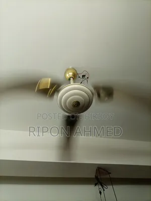 Good and Sturdy Fan