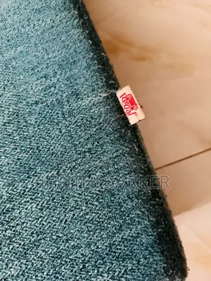 Regal Sofa Cum Bed