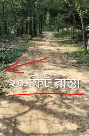 127 Decimal Land with Garden next to 20 ft Road - Kaliakair, Jathila