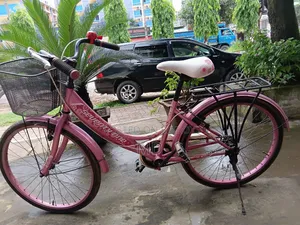 A wonderful ladies' bicycle for sale.