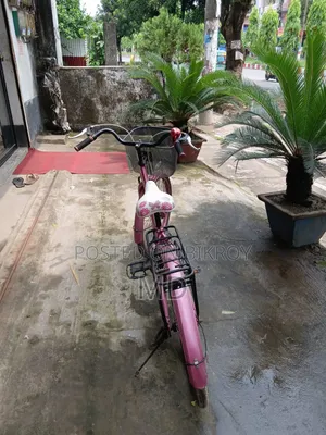 A wonderful ladies' bicycle for sale.