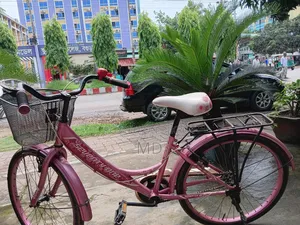 A wonderful ladies' bicycle for sale.