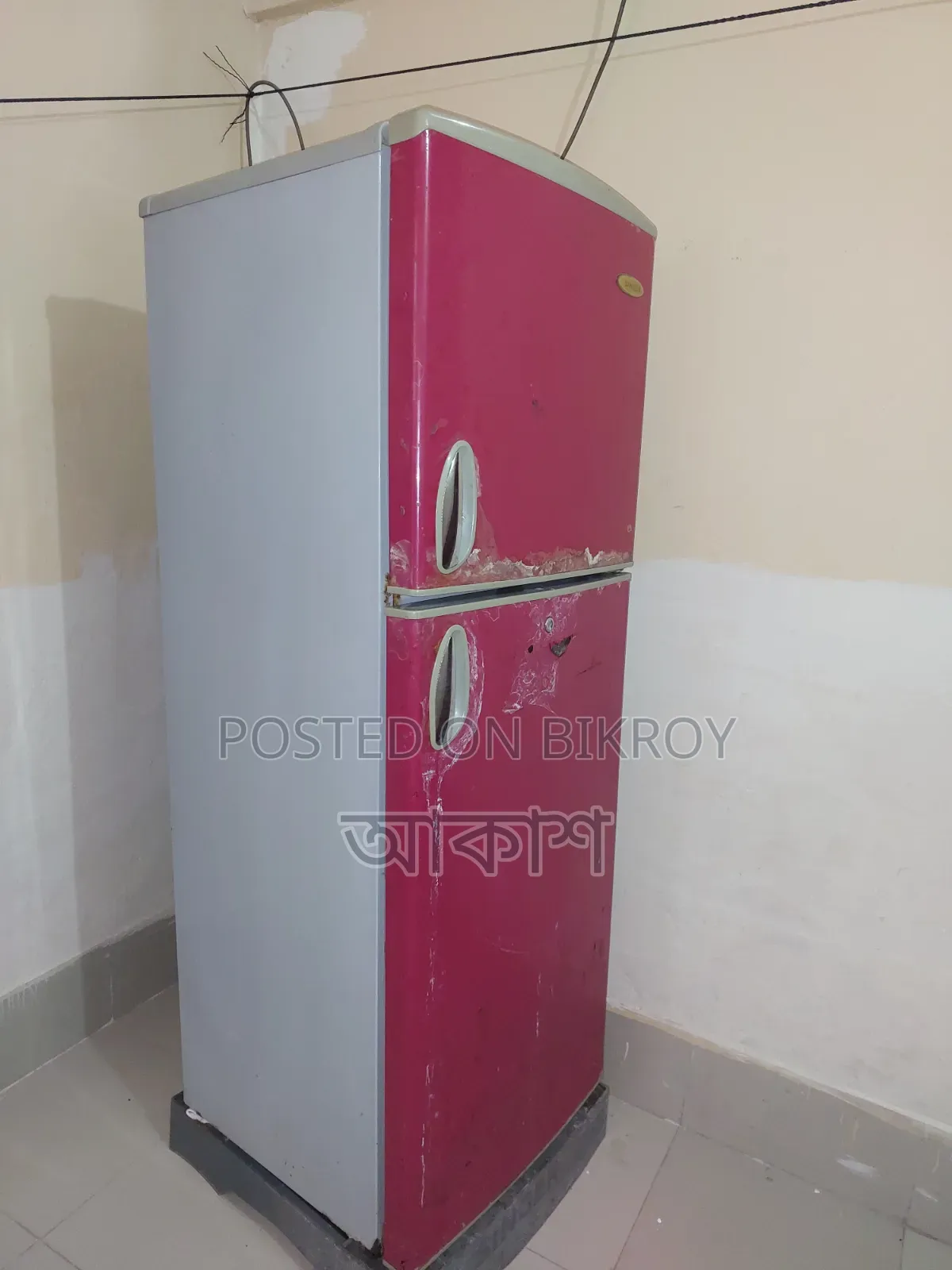 Singer Freezer
