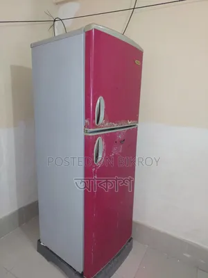Singer Freezer