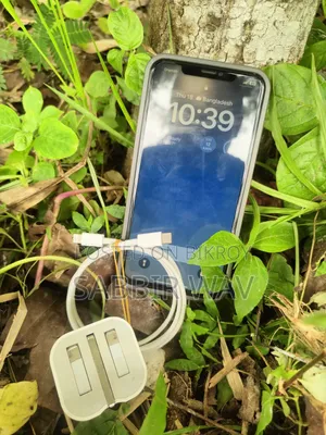 Apple iPhone XS Max 256 GB Gold
