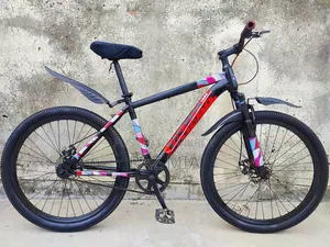 Hero Non Gear Cycle