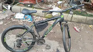7/3 Speed Gear Cycle