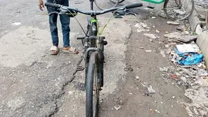 7/3 Speed Gear Cycle