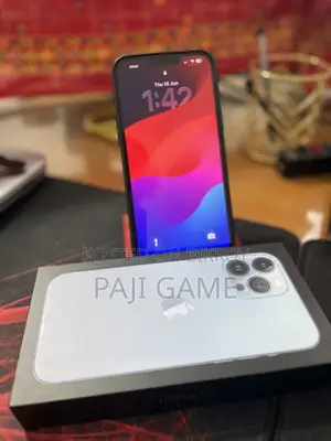 Apple iPhone 13 Pro Max 256 GB