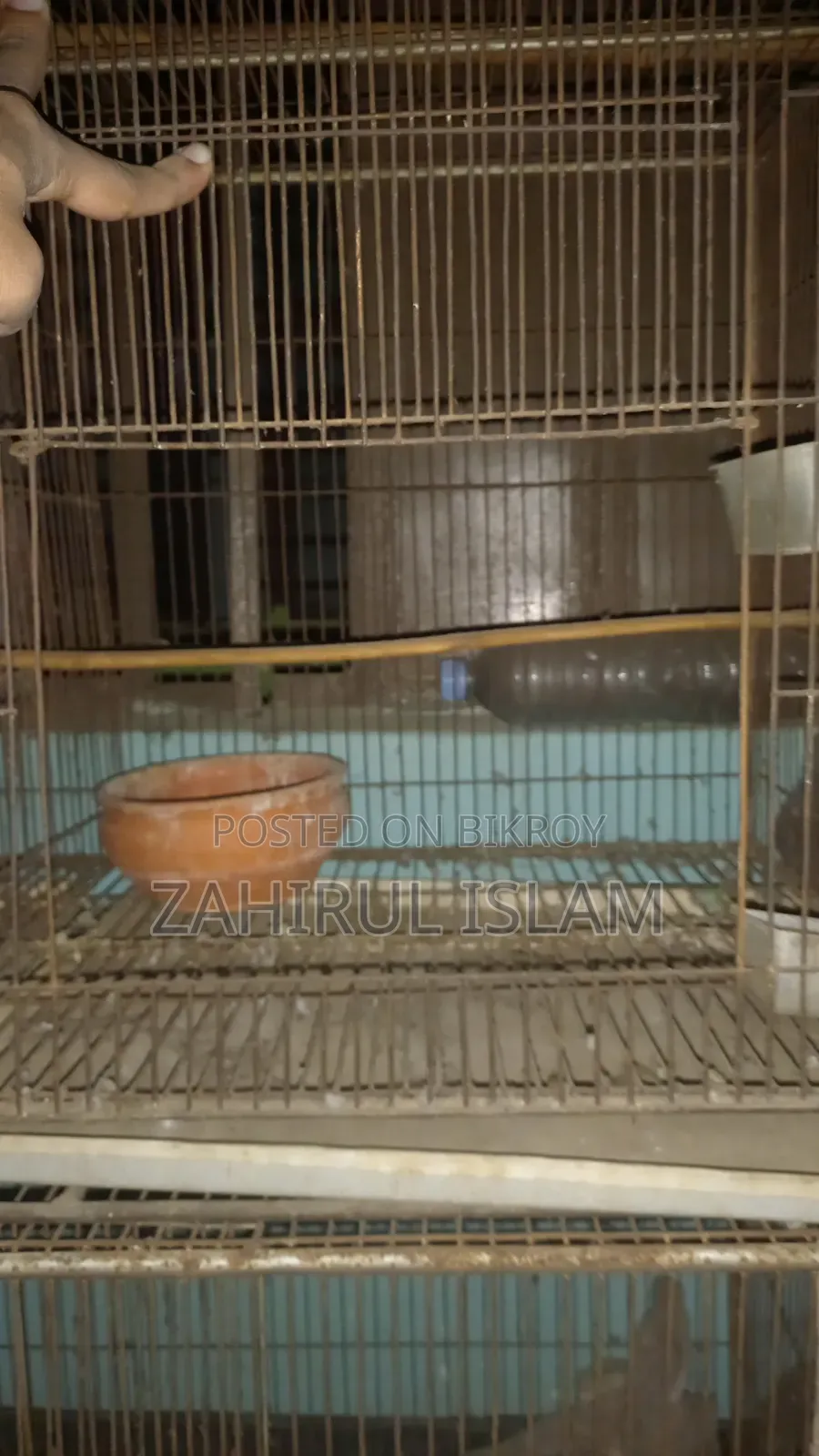 Bird cage with 4 steel trays
