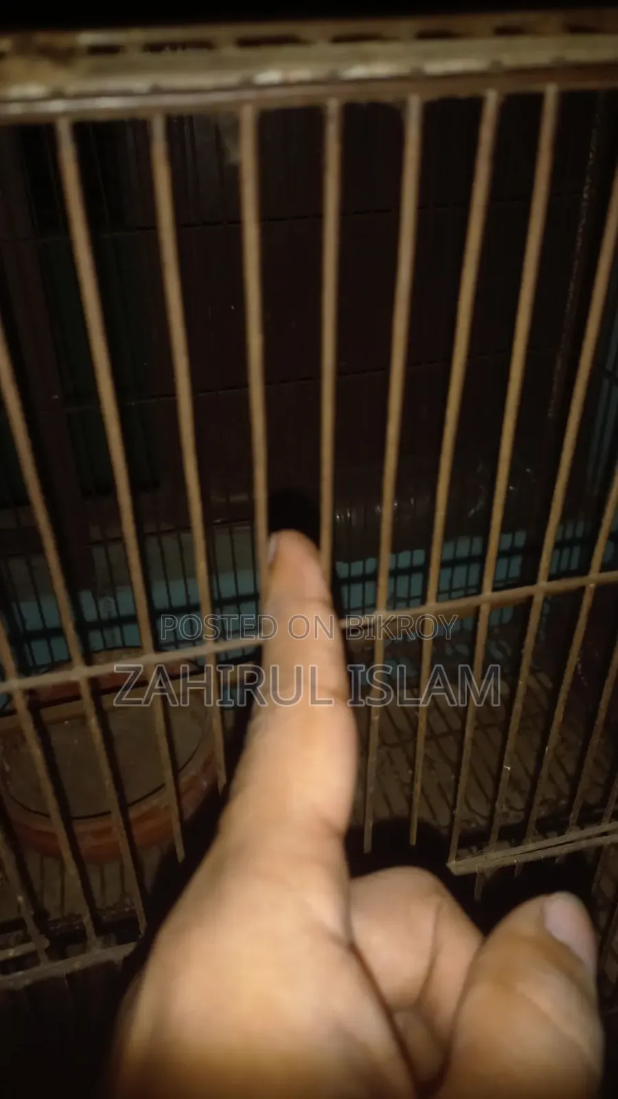Bird cage with 4 steel trays
