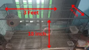 Bird cage with 4 steel trays