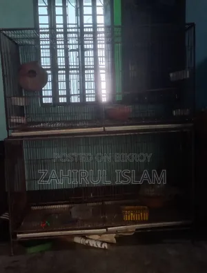 Bird cage with 4 steel trays