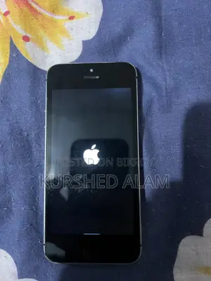 Apple iPhone 5s 32 GB Gray