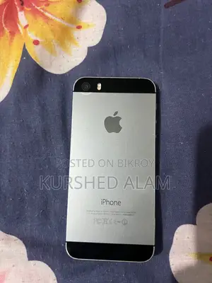 Apple iPhone 5s 32 GB Gray