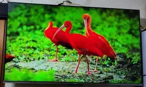 Haier H55p7ux 55 Inch Voice Control HQLED Smart Google TV