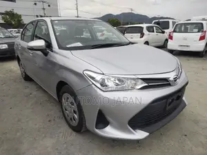 Toyota Axio 2021 Silver