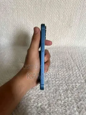 অ্যাপল আইফোন ১৩ ২৫৬ জিবি ব্লু