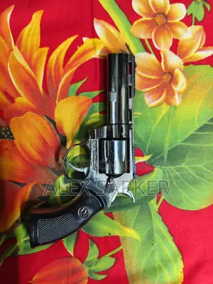 Kitchen Lighter Gun With Holster
