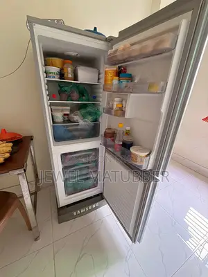 হায়ার বটম মাউন্ট ১৯৫ লিটার