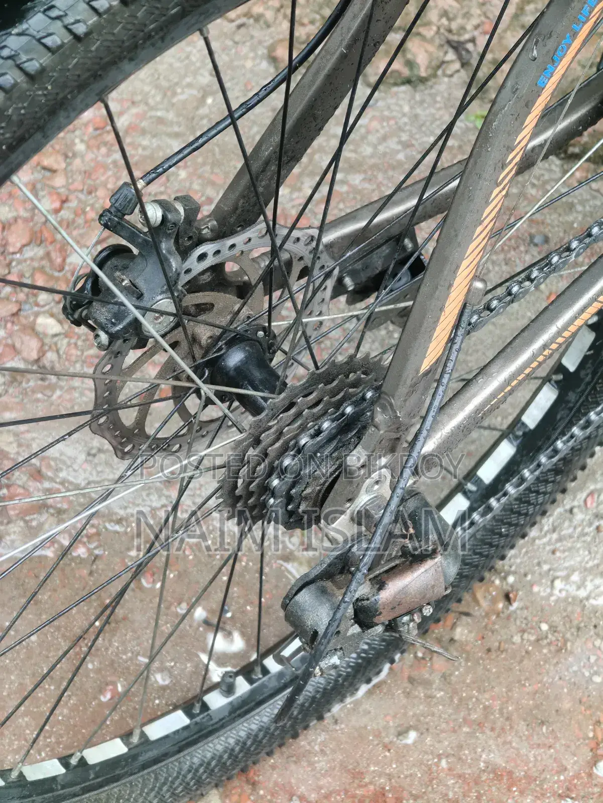 Foxter Gear Bicycles for Sale
