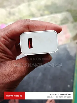 Mi 33W Fast Charger