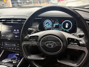 Hyundai Tucson Limited 2021 Gray