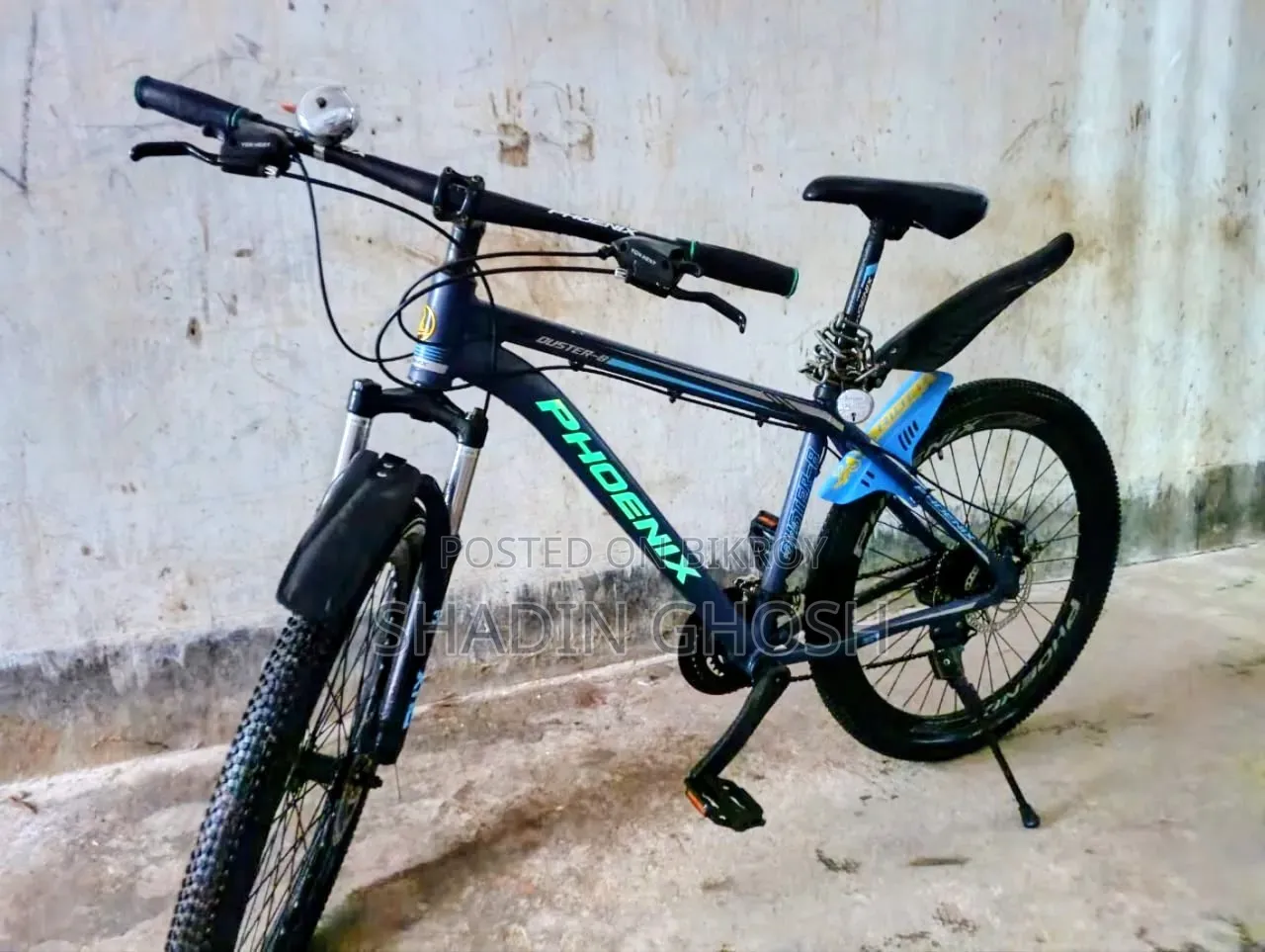 Phoenix Cycle
