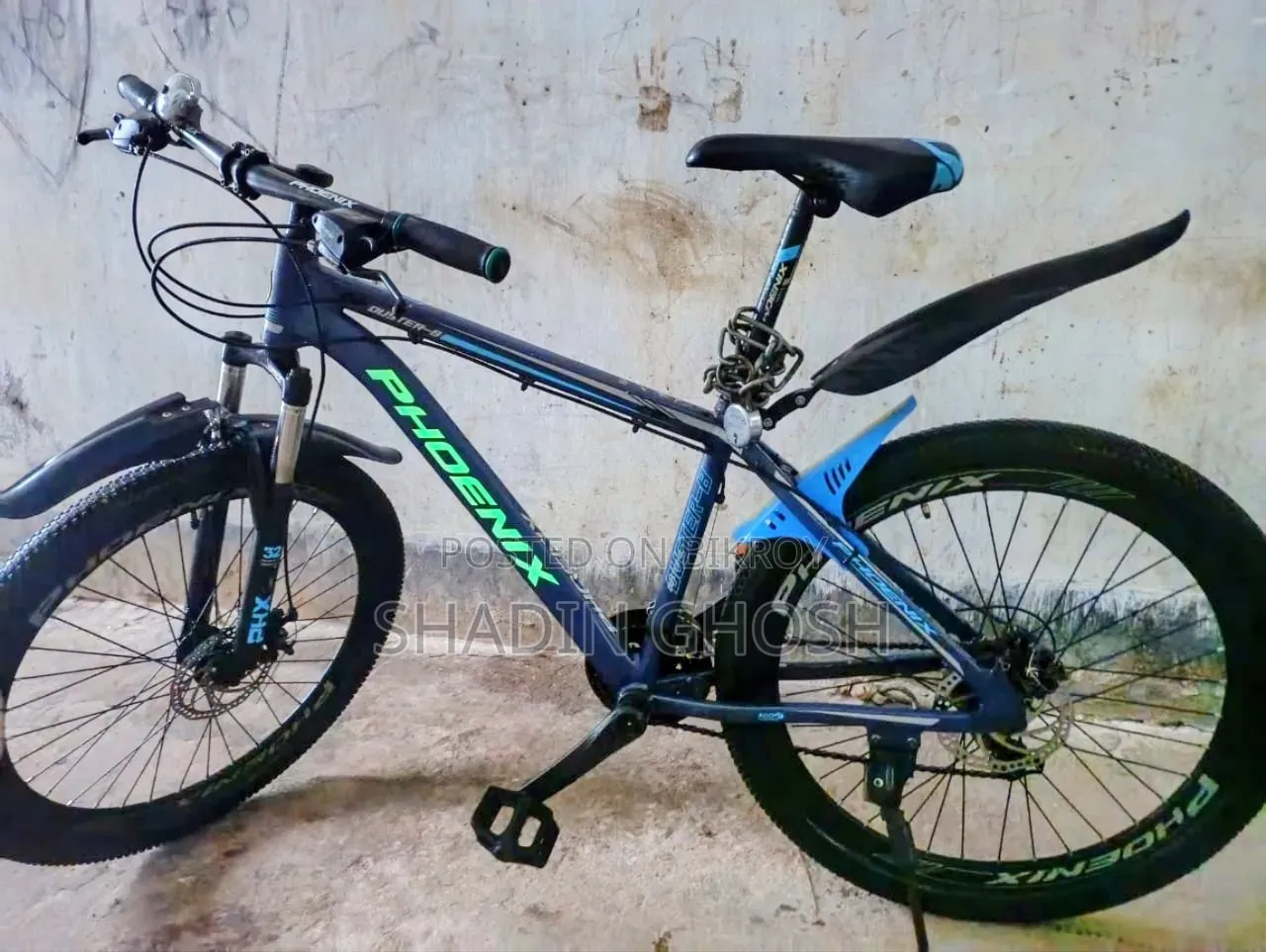 Phoenix Cycle