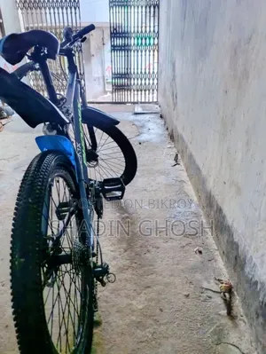 Phoenix Cycle