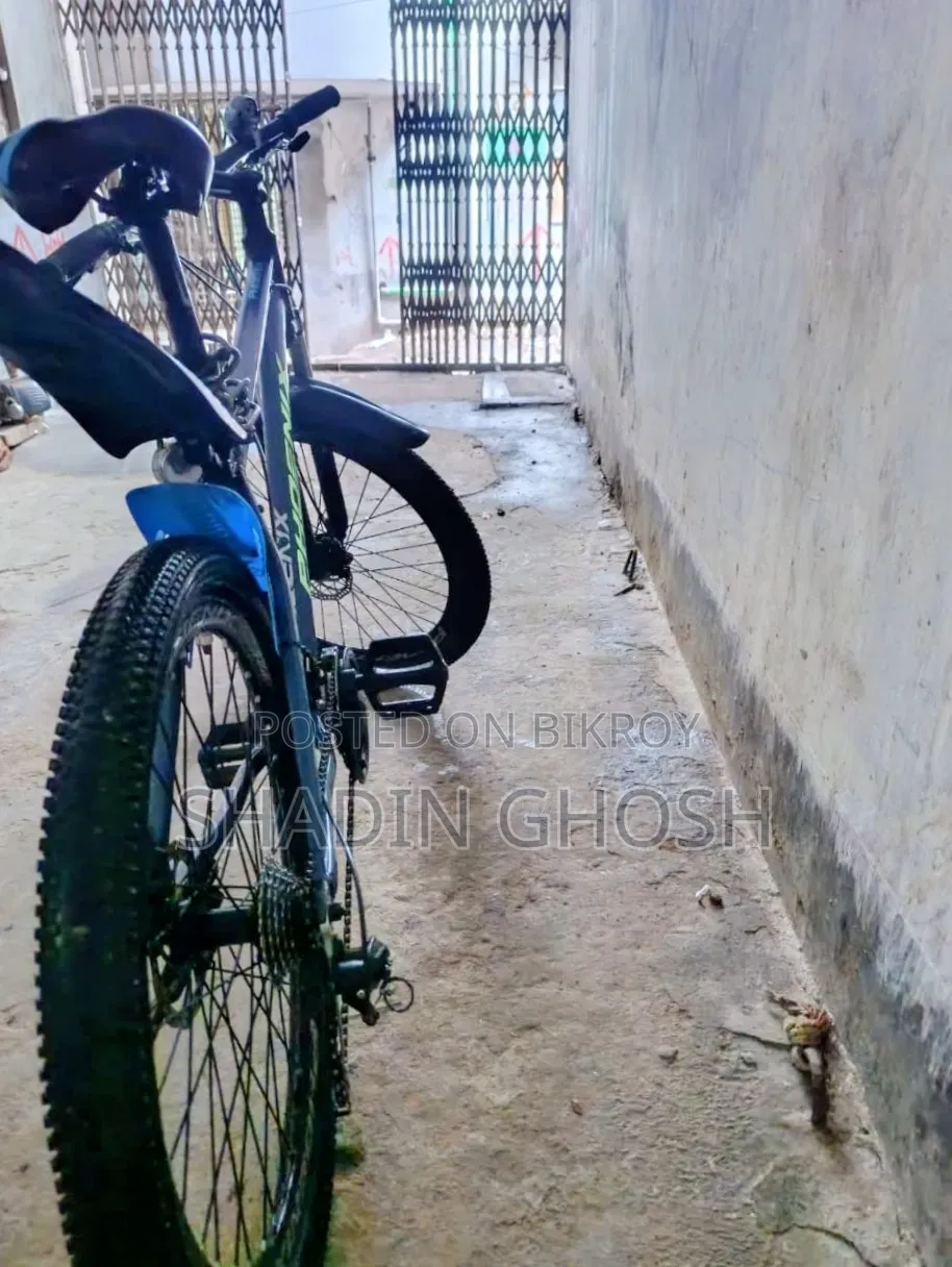Phoenix Cycle