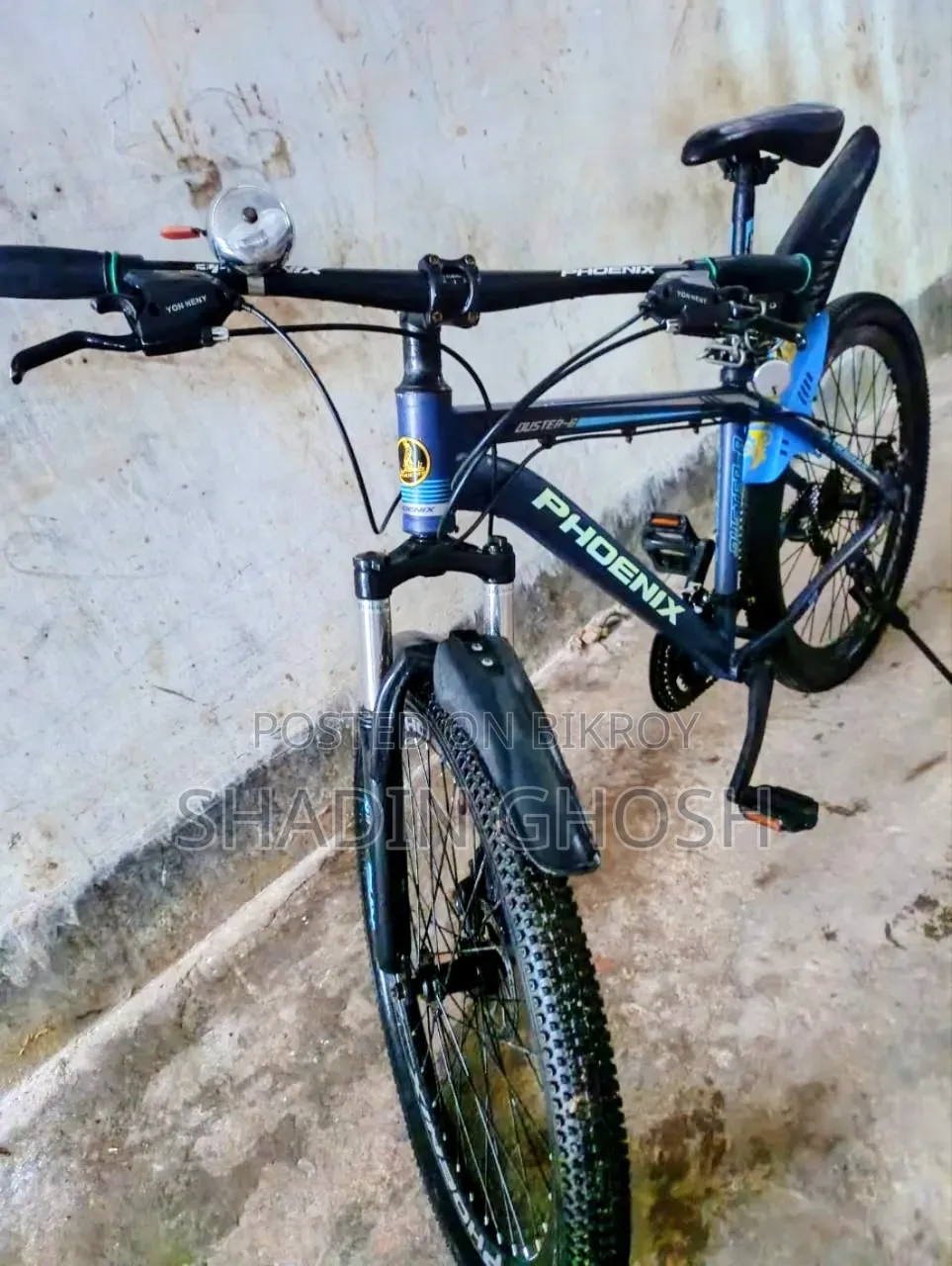 Phoenix Cycle