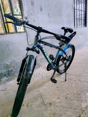 Phoenix Cycle